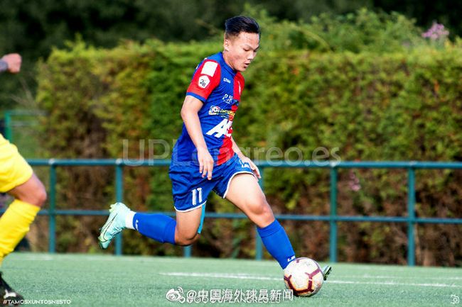 在线h视频观看