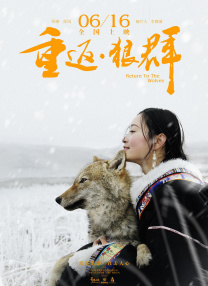 黄色小污片